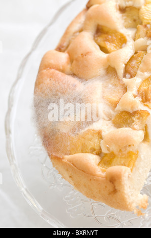 Kuchen mit Schimmel auf einem Glase Teller Stockfoto