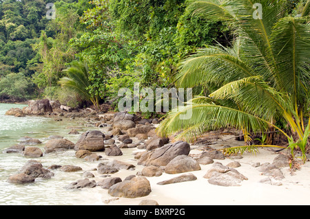 Thailand, Ko Chang, Hat Sai Yao, Palmen und Felsen am Strand Stockfoto