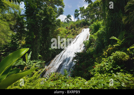 Jamaika, Ocho Rios, Shaw Park, Wasserfall im Botanischen Garten Stockfoto