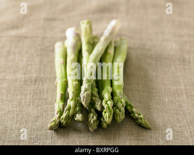 Rohen Spargel Stockfoto