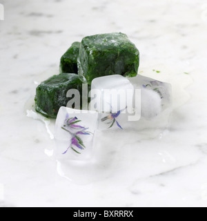 Gefrorene Kräuter und Borretsch-Blüten auf Marmor Oberfläche Stockfoto