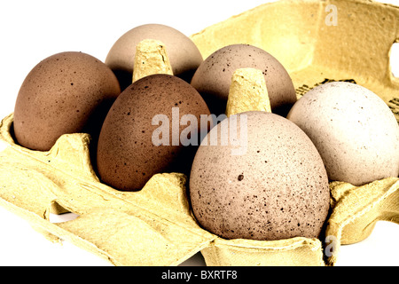 Eine Kiste mit sechs Freilandhaltung frische Hühnereier Stockfoto