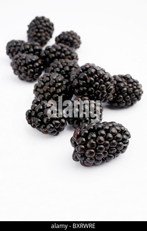 Brombeeren auf weißem Hintergrund, Nahaufnahme Stockfoto
