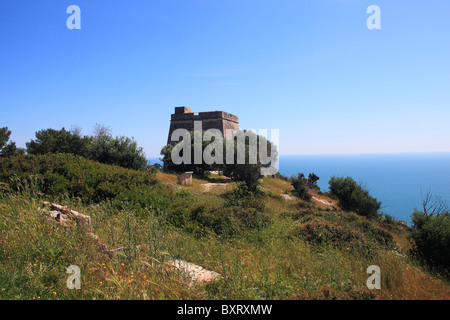 Torre dell'Aglio, Küste zwischen Vieste und Mattinata, Vorgebirge des Gargano Nationalpark Gargano, Apulien, Italien Stockfoto