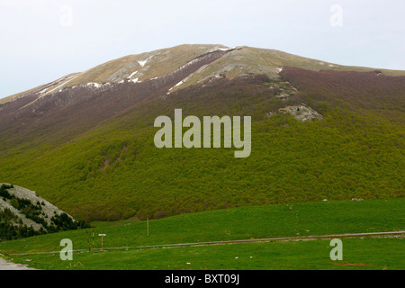 Serra del Prete Berg von De Gasperi-Hütte, Nationalpark Pollino, Basilikata, Italien Stockfoto