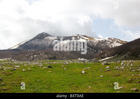 Serra Dolcedorme Berg von Piani del Pollino, Nationalpark Pollino, Basilikata, Italien Stockfoto