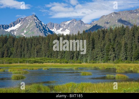 Schroffe Berggipfel über Sumpf Land in Seward Alaska Stockfoto