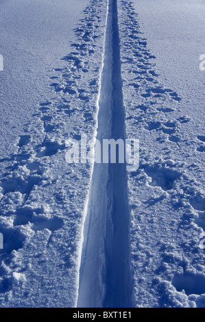 Loipe im Tiefschnee, Berner Alpen, Schweiz Stockfoto