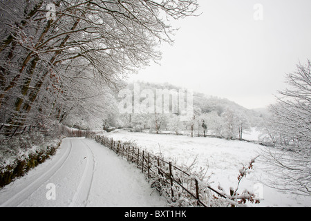 Spuren auf der Straße unter Loughrigg in der Nähe von Ambleside, Lake District, Großbritannien. Stockfoto