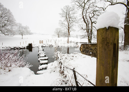 Trittsteine über den Fluß Rothay, unter Loughrigg, in der Nähe von Ambleside, Lake District, Großbritannien. Stockfoto