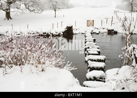 Trittsteine über den Fluß Rothay, unter Loughrigg, in der Nähe von Ambleside, Lake District, Großbritannien. Stockfoto