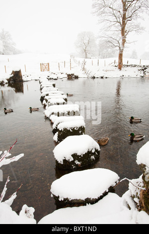 Trittsteine über den Fluß Rothay, unter Loughrigg, in der Nähe von Ambleside, Lake District, Großbritannien. Stockfoto