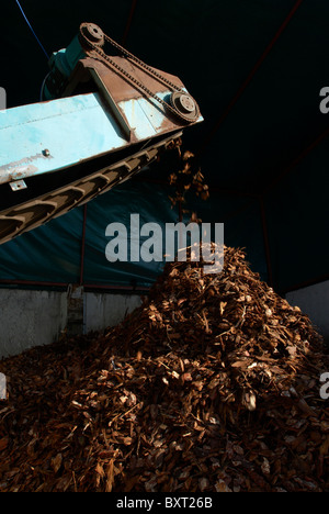 Holzschnitzelheizung, recycling Stockfoto