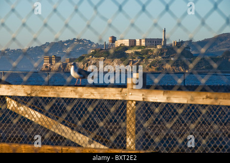 Blick auf Alcatraz Island an sonnigen Tag aus Embarcardo in San Francisco Kalifornien, CA USA Stockfoto