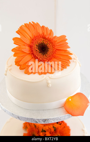 Eine orangefarbene Gerbera Blume auf einem vereisten Hochzeit Kuchen Stockfoto