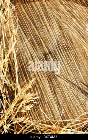 Detail aus Holz geschnitten, Textur und Trockenrasen Heu - Frame Stockfoto