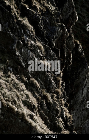 Felsen und Rasen bedeckt im Eis durch Sprühen von einem Wasserfall im winter Stockfoto
