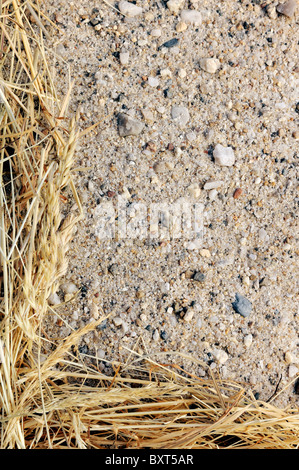 Detail des trockenen Grases Heu und Sand - Rahmen Stockfoto