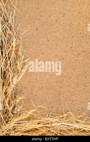 Detail des trockenen Grases Heu und OSB, orientiertes Strang-Brett - frame Stockfoto