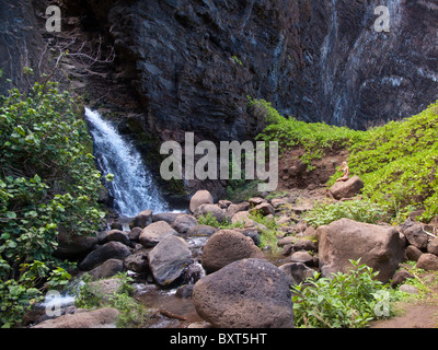 Wasserfall im Honopu-Tal in der Nähe der Na Pali Küste, Kauai Stockfoto
