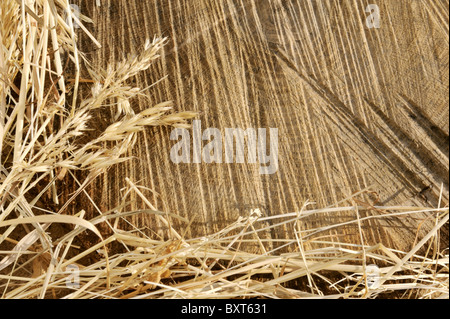 Detail aus Holz geschnitten, Textur und Trockenrasen Heu - Frame Stockfoto