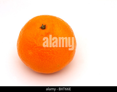 Einzelne Clementine auf weißem Hintergrund Stockfoto
