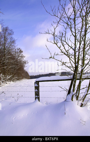 Ein Winter-Szene. Viel Schnee in einer schönen Landschaft mit Bäumen, bewölkten Himmel. Stockfoto