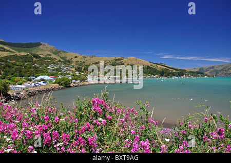 Ansicht von Stadt und Hafen von Akaroa, Akaroa Harbour, Banks Peninsula, Canterbury, Neuseeland Stockfoto