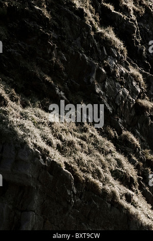 Felsen und Rasen bedeckt im Eis durch Sprühen von einem Wasserfall im winter Stockfoto