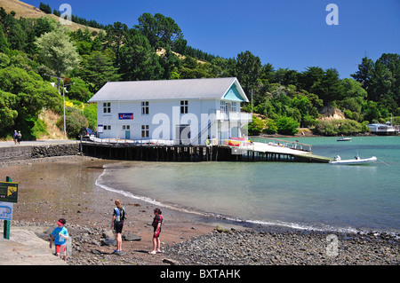 Der Bootsschuppen direkt am Strand, Beach Road, Akaroa, Banks Peninsula, Canterbury, Neuseeland Stockfoto