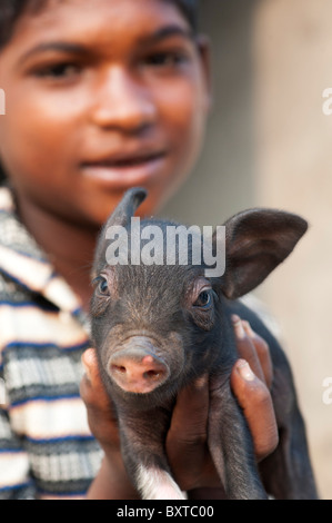 Untere Kaste indischer Junge mit kleinen Schwein, das von ihm aufgezogen wird und verkauft für Fleisch, wenn völlig gewachsen. Andhra Pradesh, Indien Stockfoto