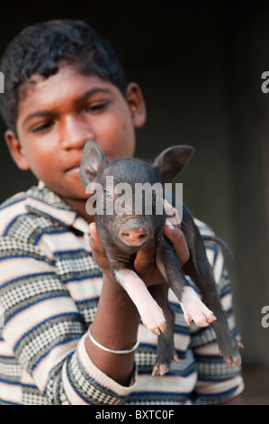 Untere Kaste indischer Junge mit kleinen Schwein, das von ihm aufgezogen wird und verkauft für Fleisch, wenn völlig gewachsen. Andhra Pradesh, Indien Stockfoto