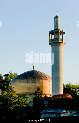 Europa, Großbritannien, England, London, Zentralmoschee Stockfoto