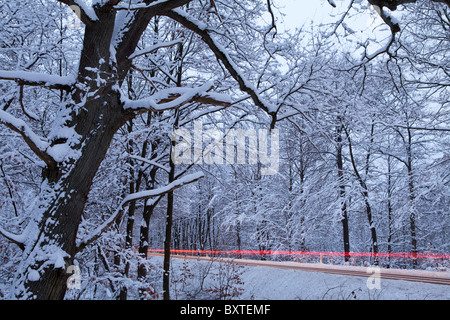 Verschneite Bäume neben einer Straße, Niedersachsen, Deutschland Stockfoto