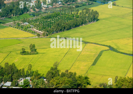 Blick auf Reisfelder von Sam Berg, Mekong-Delta, Chau Doc, Vietnam Stockfoto