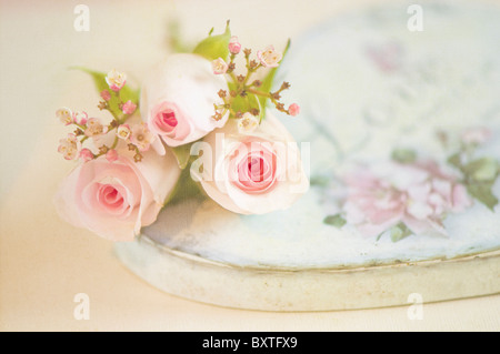 Stillleben blass rosa Rosen auf herzförmige box Stockfoto