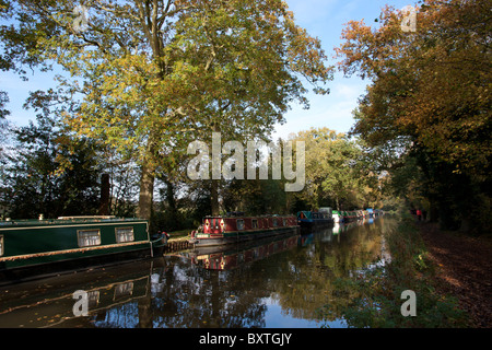 Kanalboote halbe Meile stromaufwärts von Pyrford Lock auf Wisley, außerhalb Londons Stockfoto