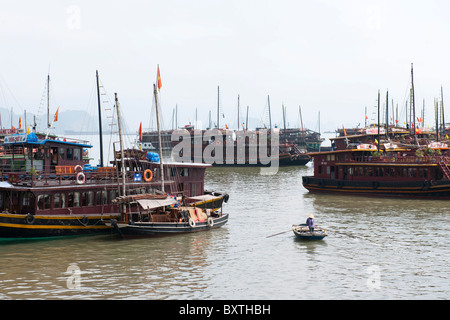 Bai Chay Hafen, Halong Stadt, Halong Bucht, Vietnam Stockfoto