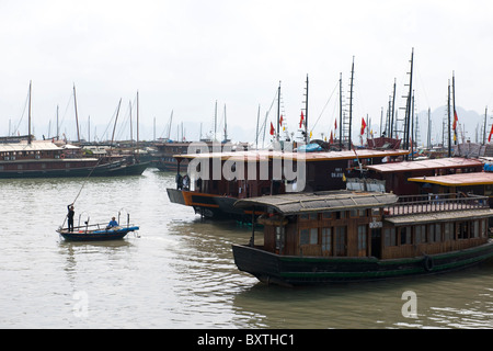 Bai Chay Hafen, Halong Stadt, Halong Bucht, Vietnam Stockfoto