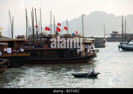 Bai Chay Hafen, Halong Stadt, Halong Bucht, Vietnam Stockfoto