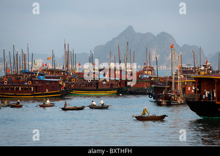 Bai Chay Hafen, Halong Stadt, Halong Bucht, Vietnam Stockfoto