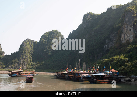 Ausflugsboote Andocken an Dau Go Insel Besuch eine Höhle, Halong Bucht, Vietnam Stockfoto