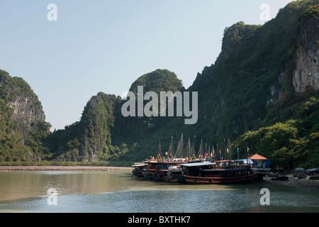 Ausflugsboote Andocken an Dau Go Insel Besuch eine Höhle, Halong Bucht, Vietnam Stockfoto