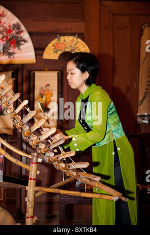 Musiker spielen ein traditionelles Saiteninstrument in der Musik Zimmer, Temple of Literature, Hanoi, Vietnam Stockfoto