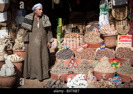 Gewürz-Verkäufer stehen in seinem Shop Tür bei einem örtlichen Straßenmarkt, Luxor, Ägypten, Afrika Stockfoto