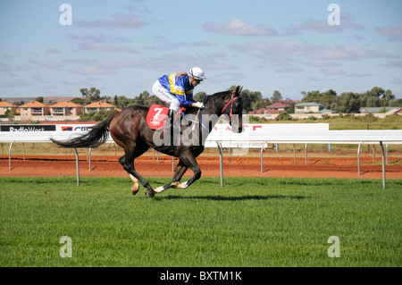 Horseracing in Kalgoorlie Pferderennbahn, Western Australia Stockfoto