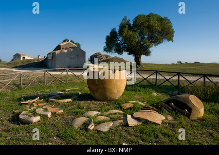 Europa, Italien, Tarquinia, Lazio Rom, Viterbo Stockfoto