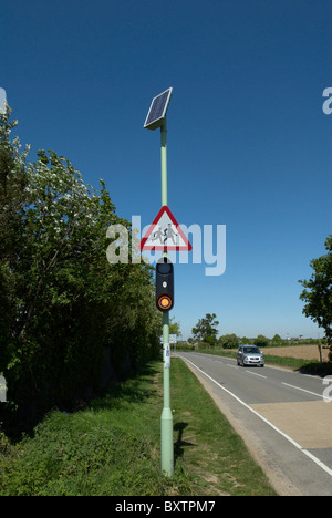 Schule überqueren Warnschild Suffolk UK Stockfoto