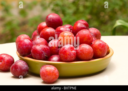 Frische Pflaumen in einer Keramikschale Stockfoto