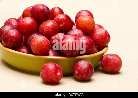 Frische Pflaumen in einer Keramikschale Stockfoto